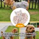 thumbnail image 5 of Methold de perro, disfraz de verano y primavera para perros, mono para mascotas, artesanía, ropa práctica para cachorros, hermosa rosa XS Ropa para mascotas Rosa Girasol METRO Methold PT003839-13, 5 of 6
