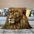thumbnail image 2 of Jiayy  Lion Blanket for Bed, Jungle Throw Blanket for Women, Men and Kids - Super Soft Plush Lion Blanket Throw Animal Print Blanket, Kids Blanket, 2 of 6