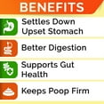 thumbnail image 3 of STRELLALAB Pumpkin for Dogs - 8.1oz High Fiber Powder Supplement - Stool Consistency and Softener - Diarrhea, Constipation, Upset Stomach, Food Sensitivity, Scoot - Digestion Support - Made in USA, 3 of 8