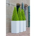 thumbnail image 5 of Pottery Pots USA Inc. Pottery Pots Bouvy Fiberstone Indoor Outdoor Modern High Square Planter, Glossy White Black, 5 of 5