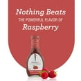 Skinnygirl, FatFree, SugarFree Raspberry Vinaigrette Salad Dressing