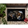 thumbnail image 3 of Cozy Pals with Cavalier Spaniel Doormat 24x36, 3 of 4