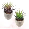 thumbnail image 4 of FENGGUIQU 2Ud Suculentas Artificiales Pequeñas Para Decorativa En Diferentes Espacios Del Hogar, 4 of 8