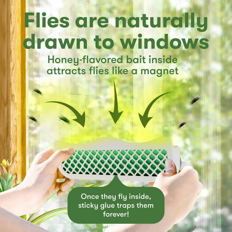BUGMD Barfly Window Replacement Traps (6 Pack) - Window Fly Paper