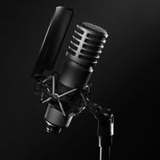 Godox XMic100GL Large-Diaphragm Cardioid Condenser XLR Studio Microphone