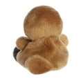 thumbnail image 3 of Aurora Palm Pals - Patty Platypus, 3 of 3