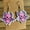 #5, variant on Acrylic Ghost Witch Castle Boo Floral Pumpkin Horror Skull Halloween Earrings