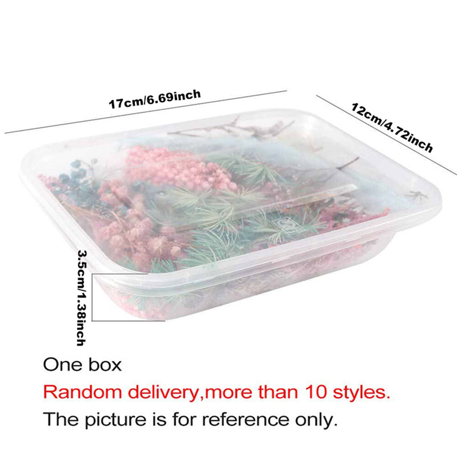 5 Box Dried Flowers,Mixed Colors Dried Flowers,Small Dry Flower for DIY Arts and Crafts Candles,Soap Making,Resin Jewelry Nail Pendant,Greeting Cards,Scrapbooking,Wedding Decor,Random Color 5PCS