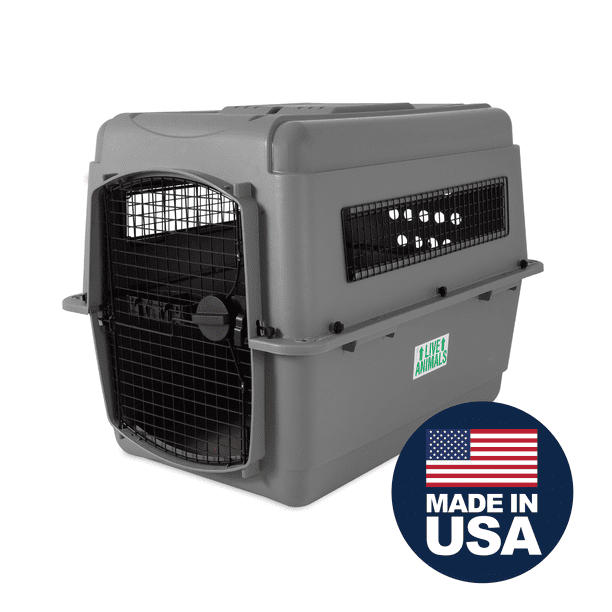 Petmate Sky Kennel for Dogs, IATA Approved, Plastic Travel Carrier