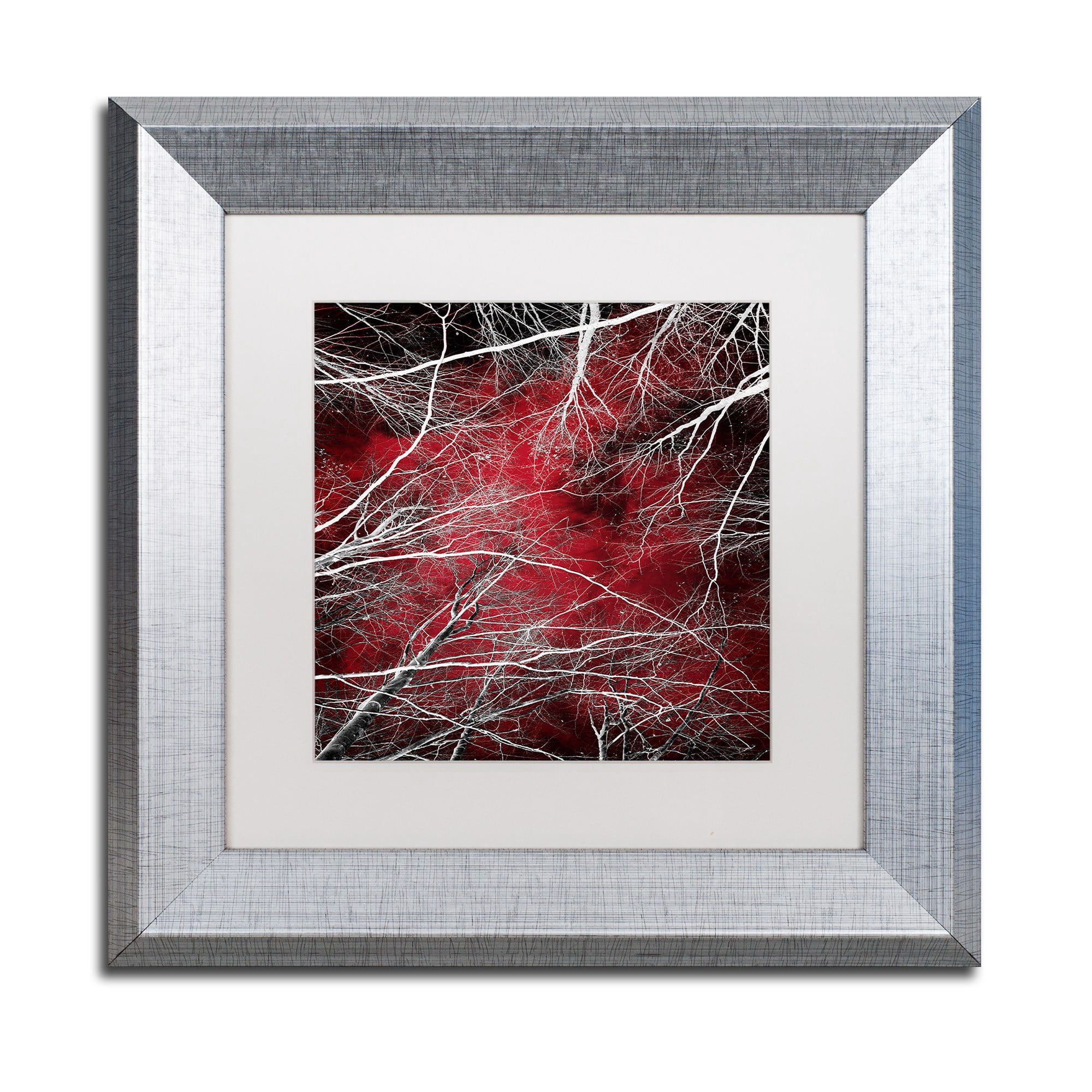 Trademark Fine Art "Fear" Canvas Art by Philippe Sainte-Laudy White Matte, Silver Frame