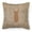 Multi, variant on Carolines Treasures BB1063-BL-BN-PW1818 Beetle Burlap and Brown Canvas Fabric Decorative Pillow BB1063 18H x18W