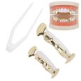 thumbnail image 4 of Halloween Hip Hop Teeth, Hip Hop False Teeth Copper Easy Wearing And Remove  For Halloween Party For Birthday Present For Hip Hop Fashion Show For Concert Gold, 4 of 8