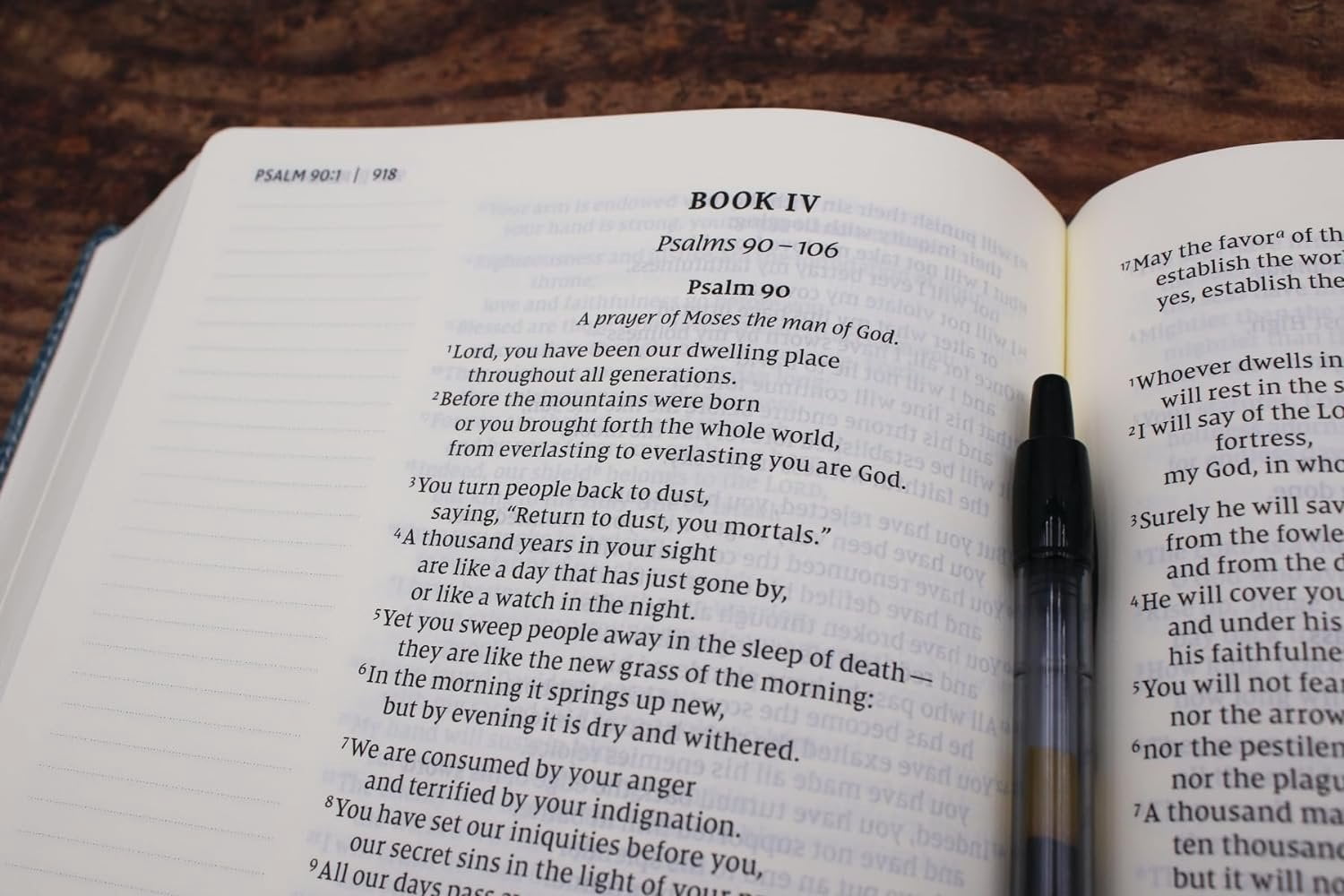 NIV Journal the Word Bible Niv, Journal the Word Bible (Perfect for Note-Taking), Large Print, Leathersoft, Teal, Red Letter, Comfort Print: Reflec, (Hardcover)