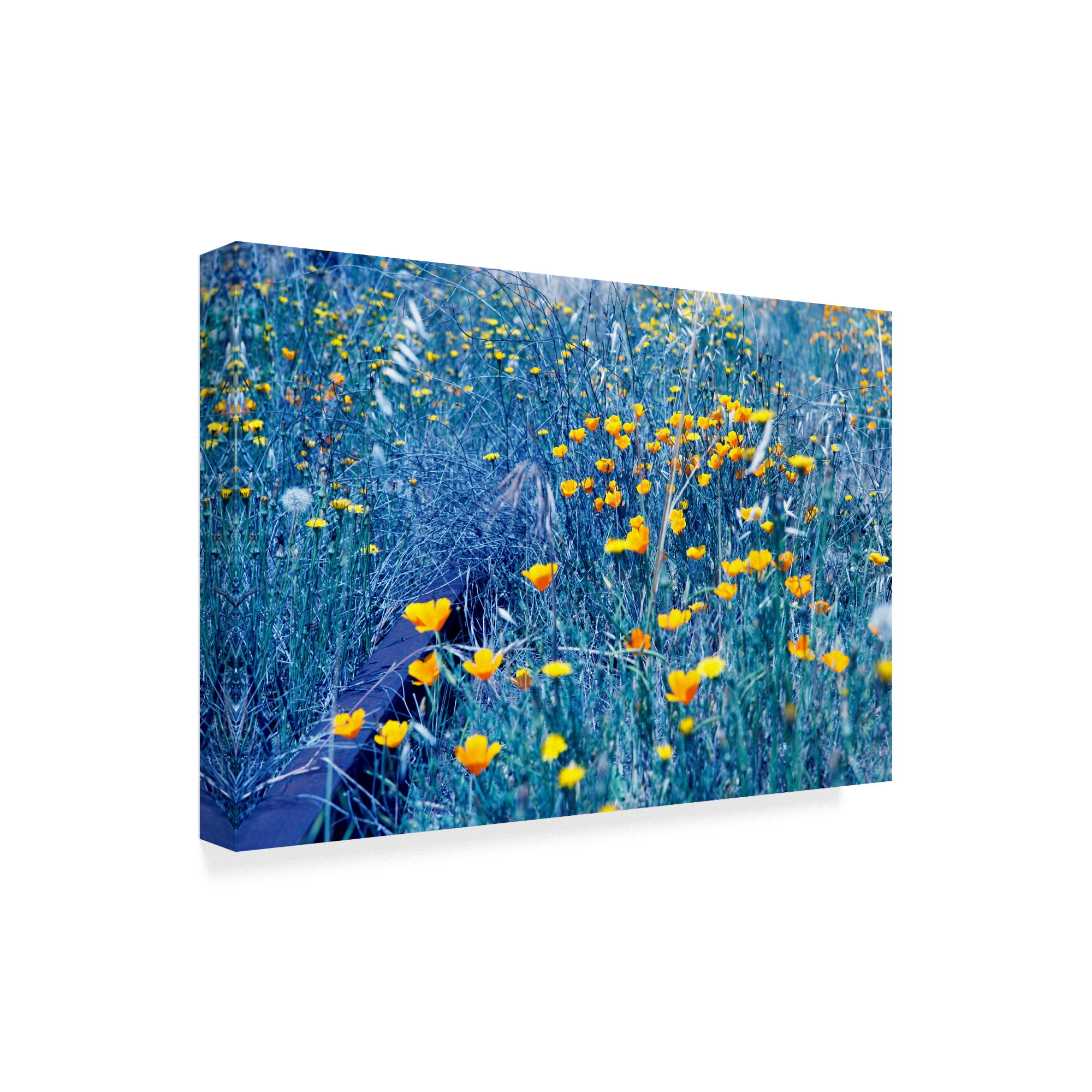 Trademark Fine Art 'Yellow Buttercup' Canvas Art by Incredi