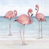 Boston International C000139 Paper Cocktail Napkins Pack of 20 - Flamingo Trio On Beach - case of 3