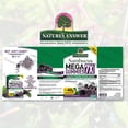 thumbnail image 2 of Nature's Answer Sambucus Megagummie, Soporte Inmunológico, 30 Unidades, 2 of 2