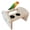 wood, variant on Bird Perch Stand W/ Bowl Playground Paw Grinding Training Toy for s Macaws Parakeet Cockatiel Budgies - green