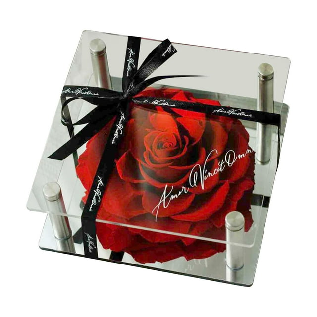 Regalos de flores de rosas, exhibición de mesa de flores, decoración del hogar, pétalos rojos para esposa, hija, novia, regalo del día de la madre