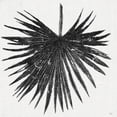 thumbnail image 2 of Pinto, Patricia 26x26 White Modern Wood Framed Museum Art Print Titled - Dark Leaf Palm I, 2 of 4