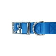 thumbnail image 5 of Downtown Pet Supply Dog Collars for Medium Dogs Padded Dog Collar Blue, M, 5 of 8