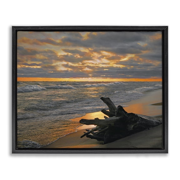 Stupell Industries Traditional Driftwood at Sunset Black Floating Frame Canvas Art, 31 x 25, by Steve Toole