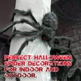 thumbnail image 3 of 2Pcs Realistic Large Spiders Outdoor Halloween Decorations, Huge Hairy Scary Halloween Spider Prop, Black Spooky Spider for Indoor House Outdoor Window Yard Patio Decor (30/75/125/200cm), 3 of 9