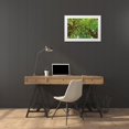 thumbnail image 3 of Majchrowicz, Alan 14x11 White Modern Wood Framed Museum Art Print Titled - Big Leaf Maple Trees III, 3 of 4