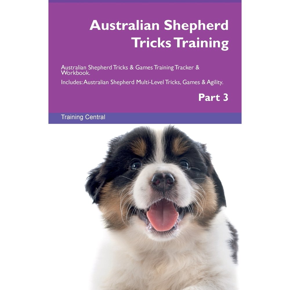 Australian Shepherd Tricks Training Australian Shepherd Tricks & Games