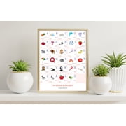 SWEDISH Alphabet POSTER Print With Words And English Translations (16 x 20 inches)