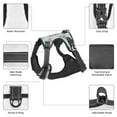 thumbnail image 6 of Lsque Cute Snowflake Dachshund Dog Harness, No-Pull Pet Harness with 2 Leash Clips, Adjustable Soft Padded Dog Vest with Easy Control Handle for Large Dogs-, 6 of 9