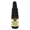 Terra Essential Scents - Ready Set Essentials Oil Blend Muscle Cool - 10 ml.