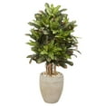 thumbnail image 1 of Nearly Natural 6496 3.5 ft. Croton Artificial Plant in Sand Colored Planter, 1 of 1
