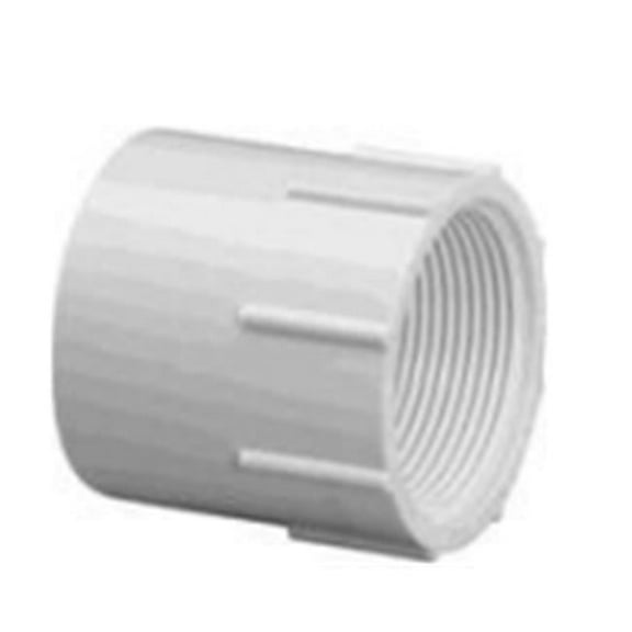 Westlake Pipe & Fittings Adapter, 4 x 4 in, Schedule 40, White 435040