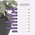 thumbnail image 4 of Greenline Fiberglass Lucy Medium Indoor/Outdoor Round Planter - 15" x 15" x 13" (Gloss Black), 4 of 7