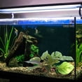 thumbnail image 5 of Plantas artificiales para acuarios, utilizadas para la decoración de acuarios.Plantas de acuario, 5 of 5