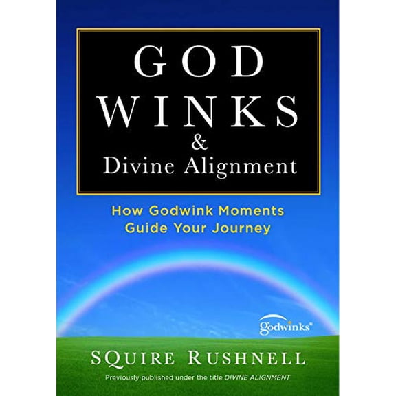 Pre-Owned Godwinks & Divine Alignment: How Godwink Moments Guide Your Journey (Paperback) 1451667779 9781451667776
