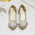 thumbnail image 5 of Wancir Girls Glitter Mary Jane Low Heel Wedding Party Princess Dress Pumps Shoes Shoes for Toddler Kids, 5 of 6