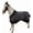 Turquoise Black, variant on Majestic Ally 600 D Ripstop Nylon Horse Turnout Blanket Waterproof, Heavyweight Coverage, Rain and Weather Resistant for Fall, or Cold Winter Weather, 250 GSM Fill