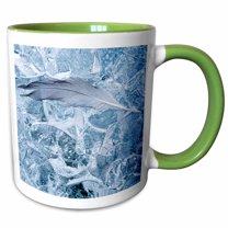 3drose, Usa, Alaska, Glacier Bay Nation Park. Gull Feather on Mcbride Glacier., 11oz Two-tone Green Mug