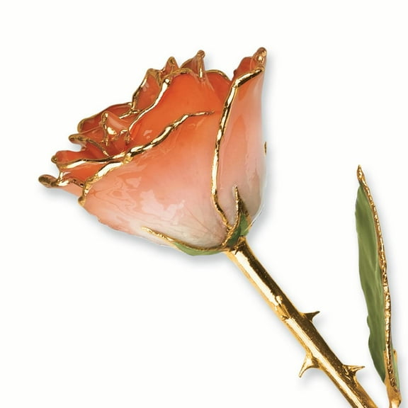 24k Gold Plated Trim White and Orange Rose