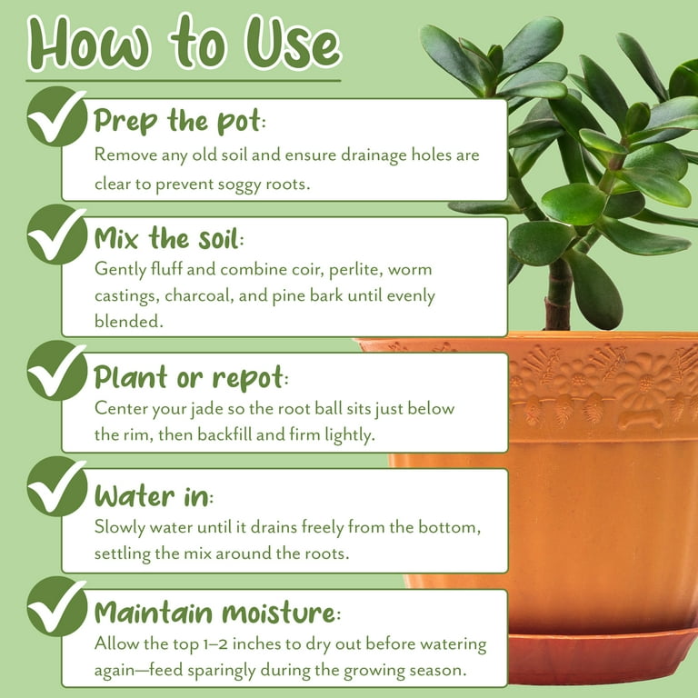 Soil Sunrise Indoor Jade Plant Potting Mix (8 Quarts), Hand Blended  Additive for Succulents - Walmart.com