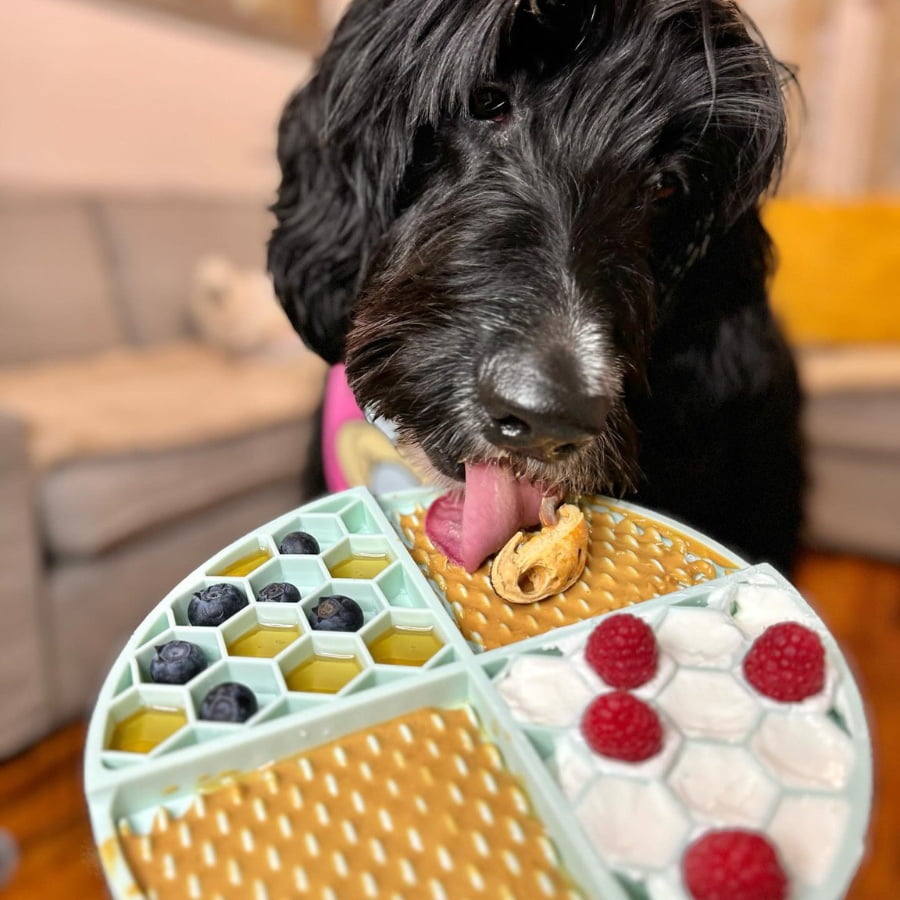 6pk Mixed Buddy Budder Squeeze Pack, Dog Peanut Butter, 4oz each