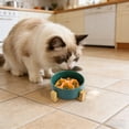 thumbnail image 3 of Slow Feeder Dog Bowl Anti Gulping Puzzle Maze Dog Bowl for Fast Eaters, Non-Slip Interactive Dog Slow Feeder Bloat Stop Healthy Eating Dog Bowl for Small Medium Dogs & Cats 4.72 in, 3 of 7