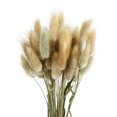 thumbnail image 1 of CAROOTU 50 Pcs Dried Flower Grass Decoration Photography Props for Home Store Wedding, 1 of 6
