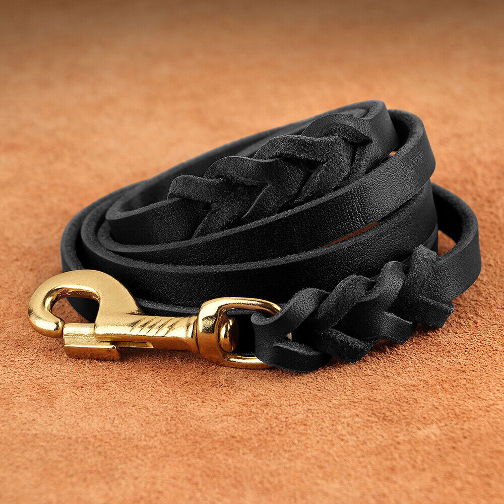 Didog 5ft Long Genuine Leather Dog Leash Fashion Braided Training Walking Leashes Heavy Duty for Large Breeds