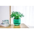thumbnail image 4 of 3Pcs Plastic Hanging Planters Small Plant Pot with Drainage Holes,Hanging Basket with Removable hooks,Prefect for Home Garden Cafe Office (Emerald), 4 of 7