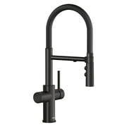 Blanco 442990 Catris Filter-Ready 1.5 GPM Single Hole Pre-Rinse Pull Down Kitchen Faucet -