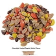 thumbnail image 3 of Chopped Candy Ice Cream Topping by T.R. Toppers | 5 Pound Bulk Bag (Peanut Butter Candy Pieces), 3 of 5