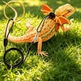 thumbnail image 4 of Adjustable Small Reptile Leash with Escape-Proof Nylon Rope, Soft Chest Strap, Elastic Cushioning, Includes Leg Covers for Bearded Dragons, Geckos, Iguanas, Sizes S to L, Multiple Colors, 4 of 6