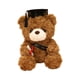 thumbnail image 5 of Bear Doll Toys Hug Back Cojín Decorativo para el hogar Acompañar Sleep Toy Animal Simulation Doll Lindo oso de peluche de peluche para niña Regalos de Sombrero marrón oscuro Hugo Cojín oso, 5 of 10